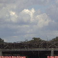 14_15-mast.jpg