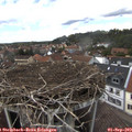 14_15-nest.jpg