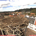 14_20-nest.jpg