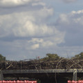 14_25-mast.jpg