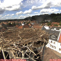 14_25-nest.jpg