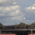 14_30-mast.jpg