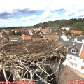 14_30-nest.jpg