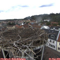 14_35-nest.jpg