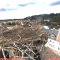 14_40-nest.jpg