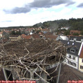 14_45-nest.jpg