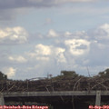 14_50-mast.jpg