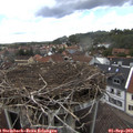 14_50-nest.jpg