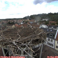 14_55-nest.jpg