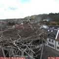 15_00-nest.jpg