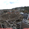 15_05-nest.jpg