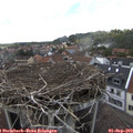 15_10-nest.jpg