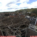15_15-nest.jpg