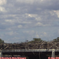 15_20-mast.jpg
