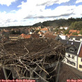 15_20-nest.jpg