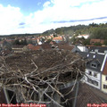 15_25-nest.jpg