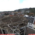 15_35-nest.jpg