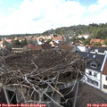 15_40-nest.jpg