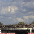 15_45-mast.jpg