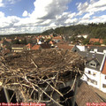 15_45-nest.jpg