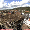 15_55-nest.jpg