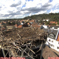 16_00-nest.jpg