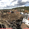 16_05-nest.jpg