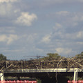 16_10-mast.jpg