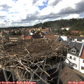 16_10-nest.jpg