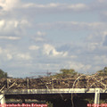16_15-mast.jpg