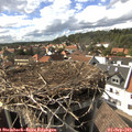 16_15-nest.jpg