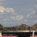 16_20-mast.jpg