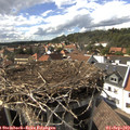 16_20-nest.jpg