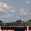 16_25-mast.jpg