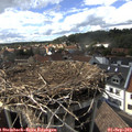 16_25-nest.jpg