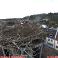 16_35-nest.jpg