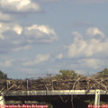 16_40-mast.jpg
