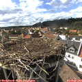 16_40-nest.jpg