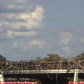 16_45-mast.jpg