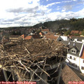 16_45-nest.jpg