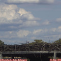 16_55-mast.jpg