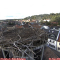 16_55-nest.jpg