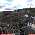 17_00-nest.jpg