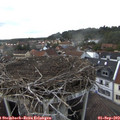 17_05-nest.jpg