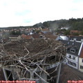 17_10-nest.jpg