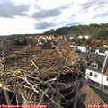 17_15-nest.jpg
