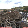 17_20-nest.jpg