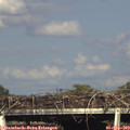 17_25-mast.jpg