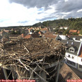 17_25-nest.jpg