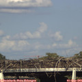 17_40-mast.jpg